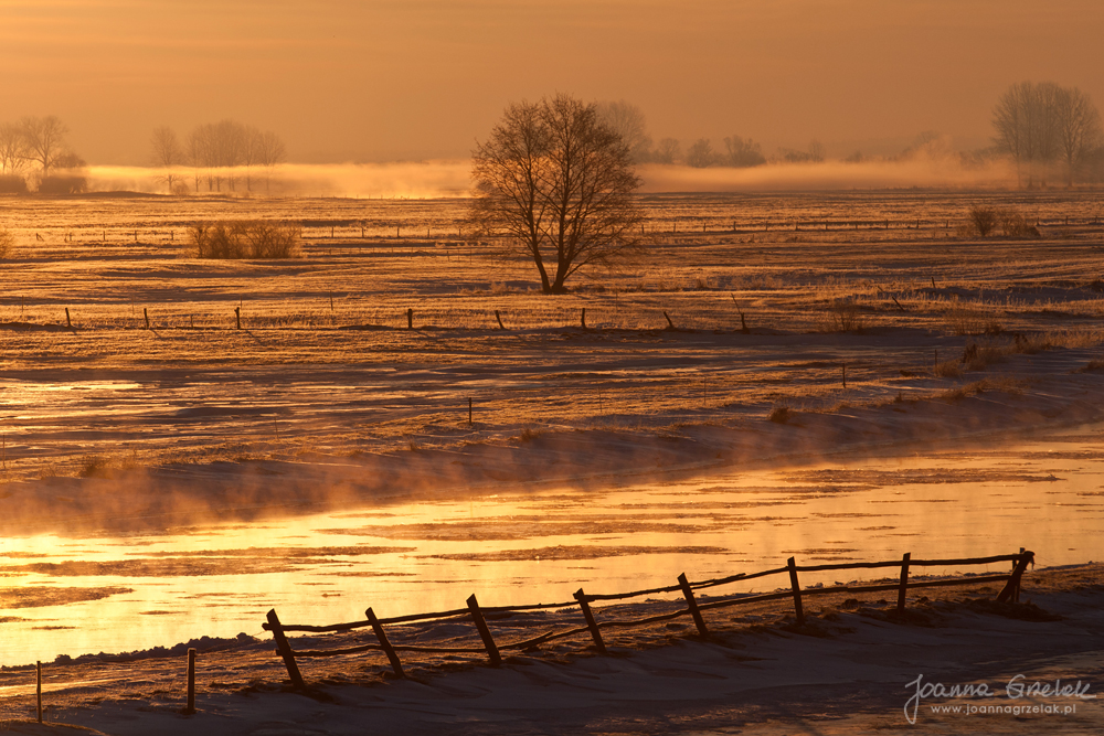067_Biebrza - marzec 2013.jpg